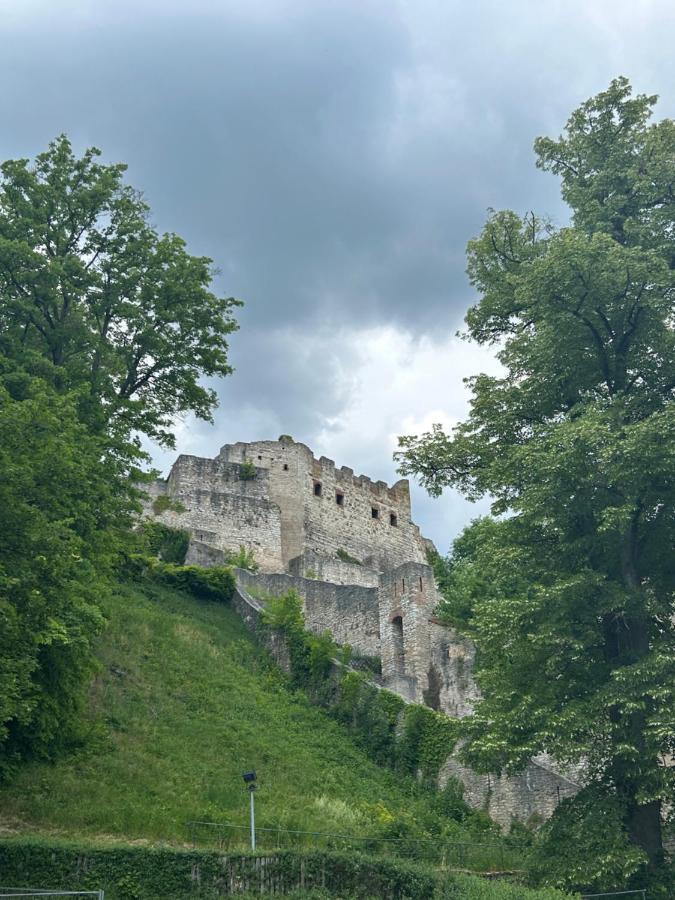 Ferienwohnung Zur Roni Treuchtlingen Zewnętrze zdjęcie